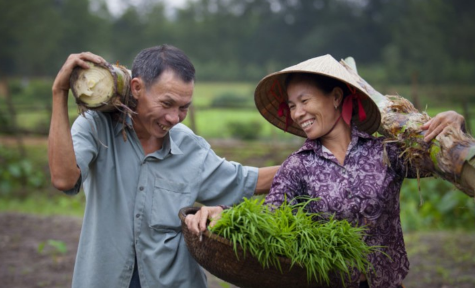 Tầm quan trọng của bình đẳng giới